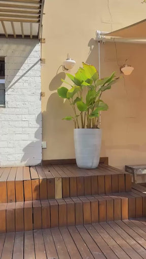 Calça Feminina Pantalona Aladim de Mousseline